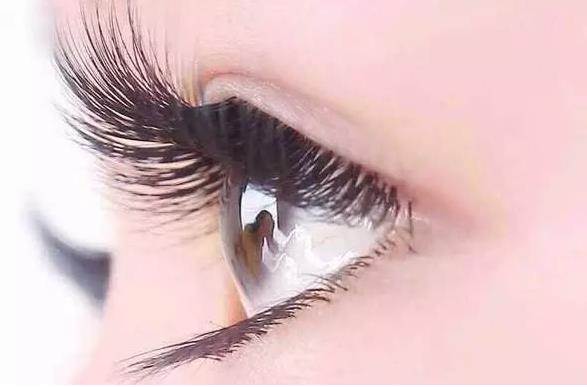 睫毛嫁接