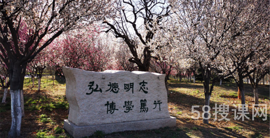 成人高考专升本报考院校