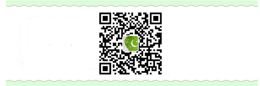 北京海文考研客服