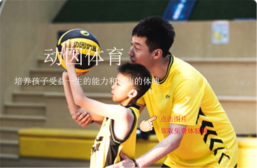 动因体育培训怎么样