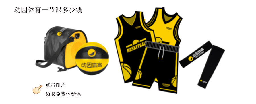 专业的青少儿体育培训机构