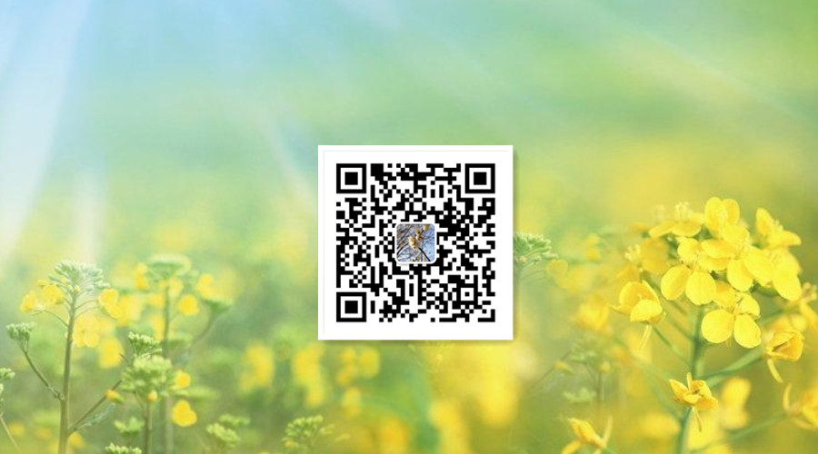 济南幼儿美术培训什么时间开始好？