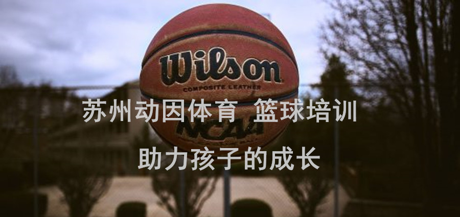 苏州儿童篮球培训