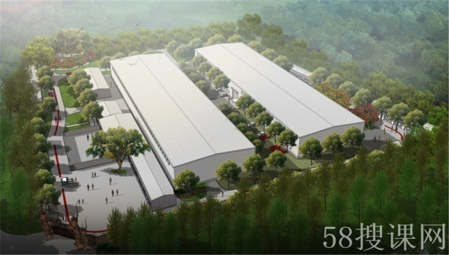 北京维康篮球学校暑期集训营怎么样