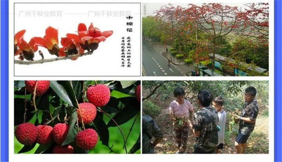 广州黄埔军校夏令营收费标准-活动项目