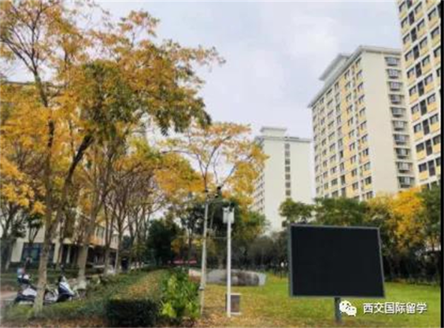 2020学年第一学期回顾 2020学年第一学期回顾