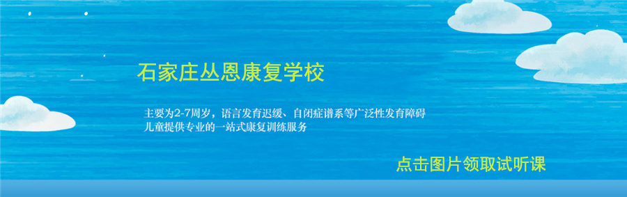 石家庄十大儿童自闭症康复机构排名