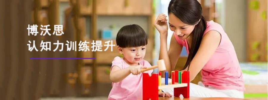 国内十大青少年认知力训练机构排名