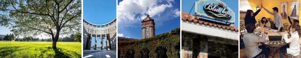 大连十大计算机it培训学校排名