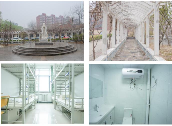 北京新文道2022考研金凤凰计划百日冲刺营 北京新文道2022考研金凤凰计划百日冲刺营