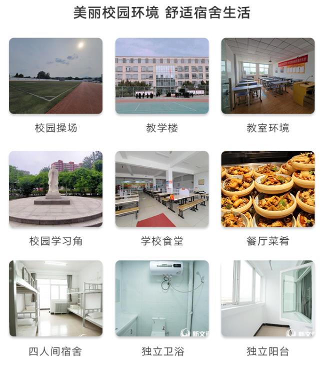 北京新文道2022考研金凤凰计划冲刺点睛集训营