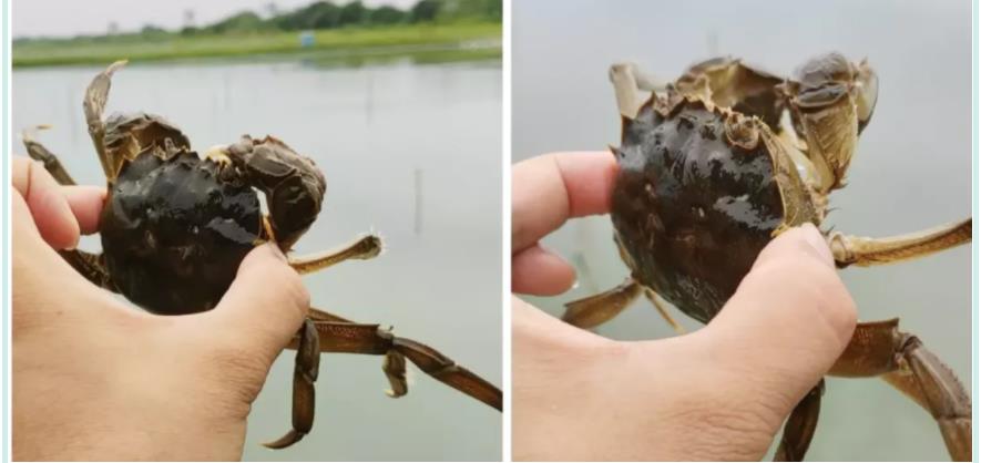 苏州2021中秋节夏令营活动 苏州2021中秋节夏令营活动