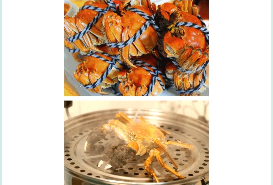 苏州2021中秋节夏令营活动 苏州2021中秋节夏令营活动