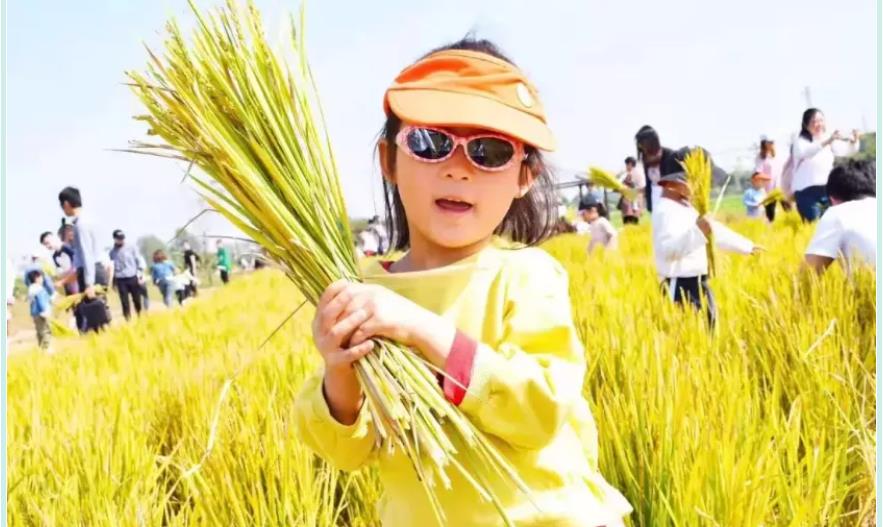 苏州2021中秋节夏令营活动 苏州2021中秋节夏令营活动