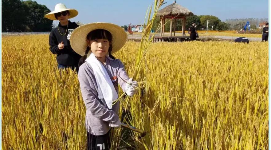 苏州2021中秋节夏令营活动 苏州2021中秋节夏令营活动