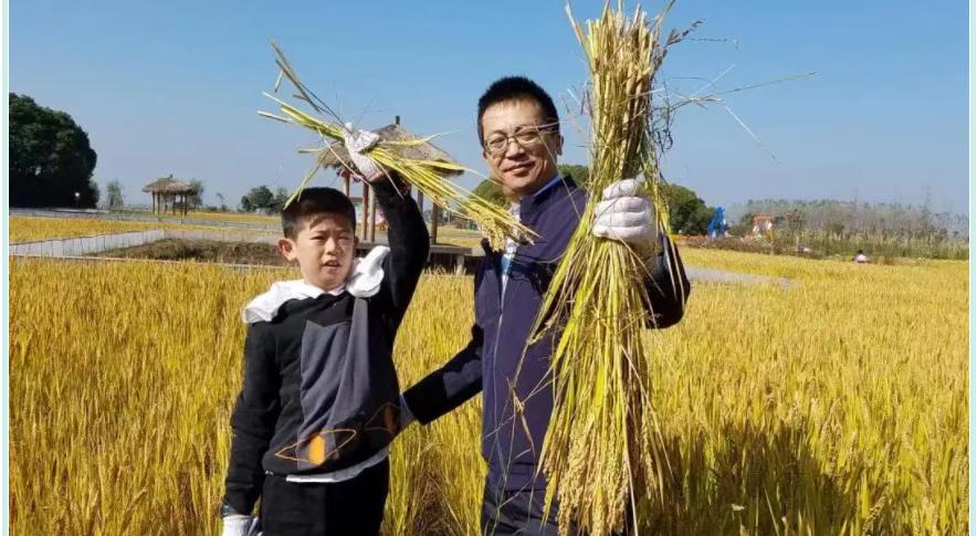 苏州2021中秋节夏令营活动 苏州2021中秋节夏令营活动