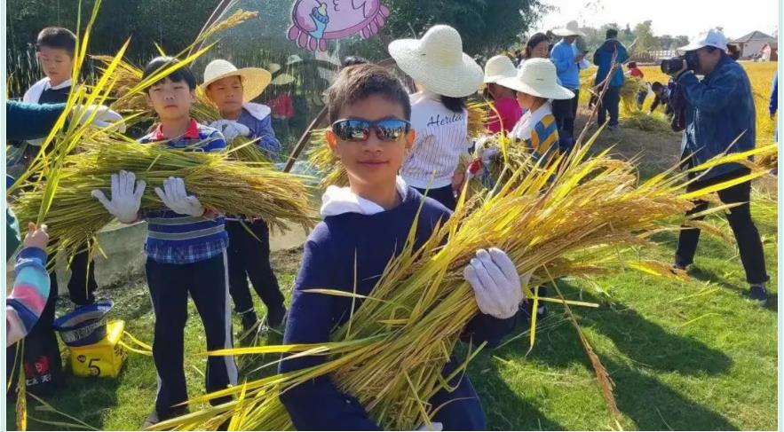 苏州2021中秋节夏令营活动 苏州2021中秋节夏令营活动