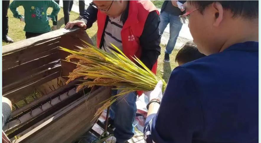 苏州2021中秋节夏令营活动 苏州2021中秋节夏令营活动