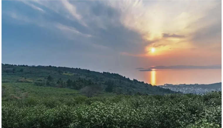 苏州国庆夏令营一览表