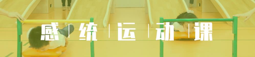 杭州专业儿童感统训练机构十大排名