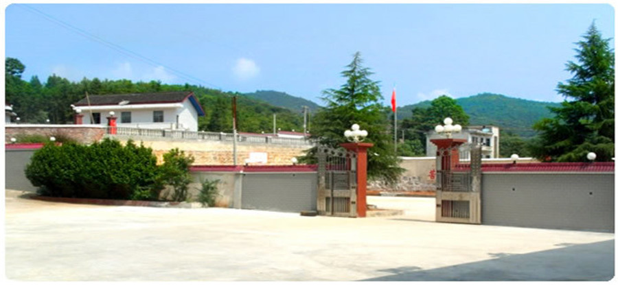 怀化十大封闭式叛逆孩子教育学校排名 怀化十大封闭式叛逆孩子教育学校排名