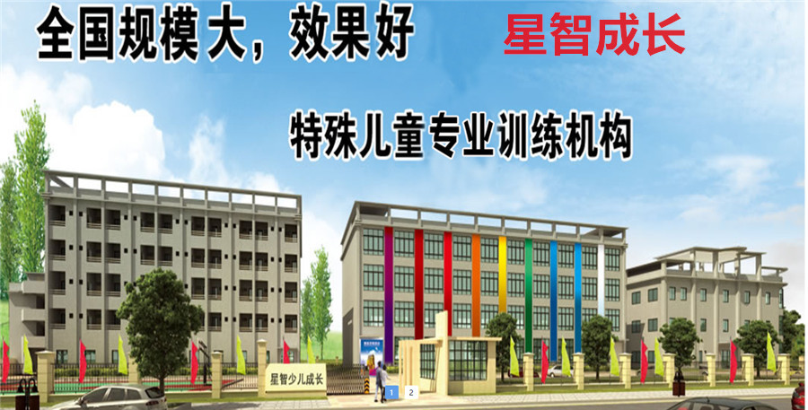 广州十大语言发育迟缓康复训练机构排名