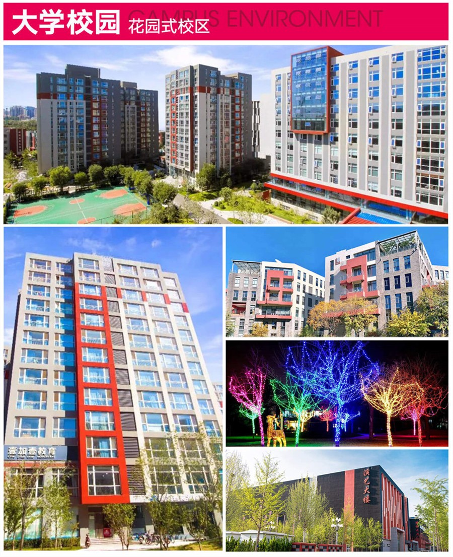 盘点国内十大专业美术艺考集训学校排名一览