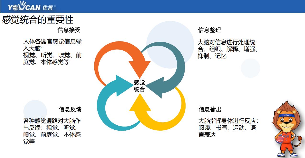 北京十大少儿篮球培训中心实力排名