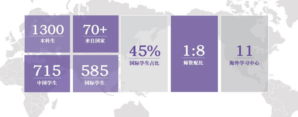上海纽约大学申请服务机构实力排名