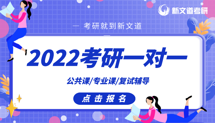 北京新文道2022考研一对一专项课程