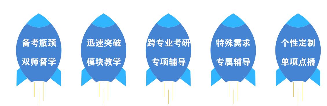 北京新文道2022考研一对一专项课程
