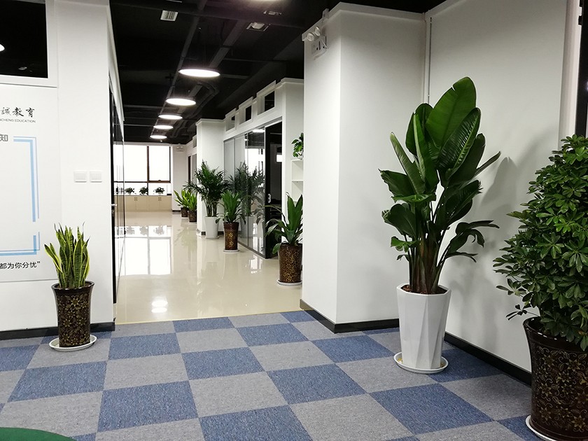 西安十大中专升大专报考中心排名 西安十大中专升大专报考中心排名