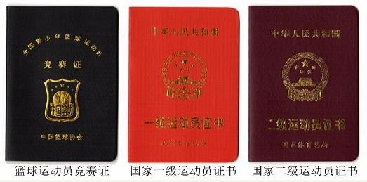 初中篮球特长生学校十佳排名