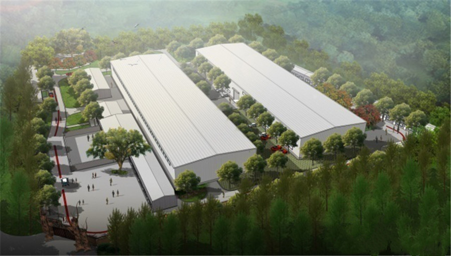 初中篮球特长生学校十佳排名