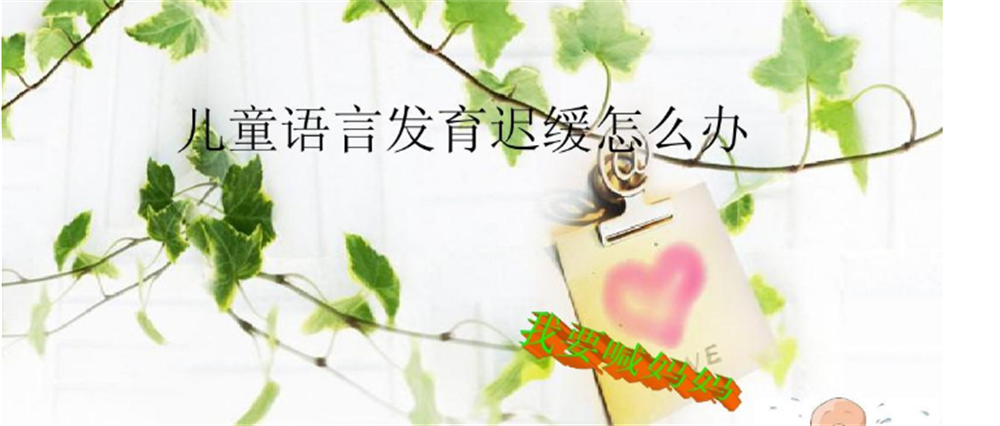 厦门实力排名TOP10的语言发育迟缓干预机构 厦门实力排名TOP10的语言发育迟缓干预机构