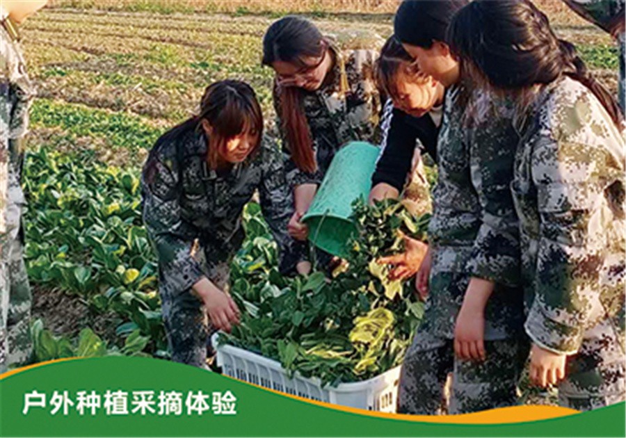 青少年叛逆管教学校-青少年戒网瘾培训学校排名---正苗启德青少年素质教育学校