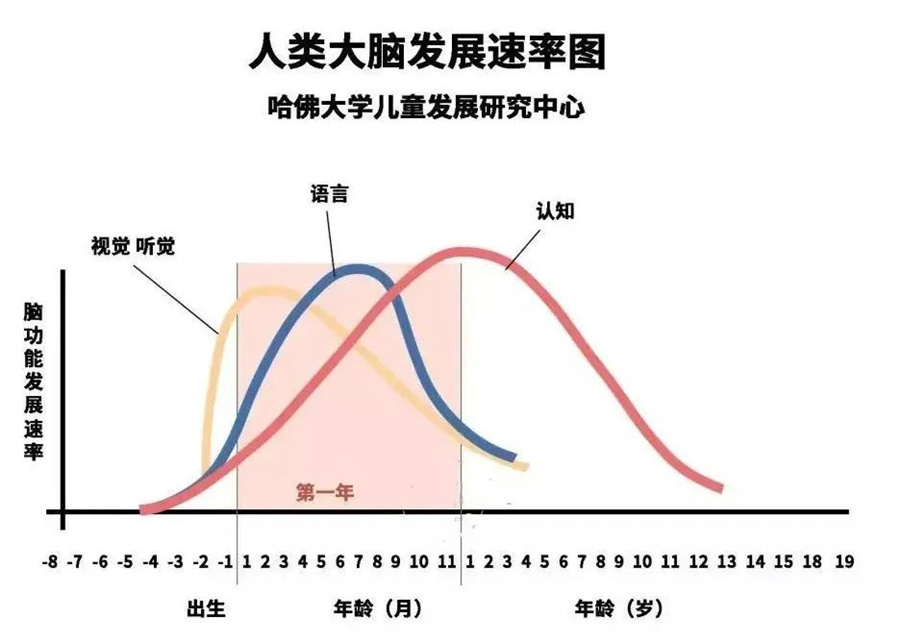 东莞自闭症干预机构十大排名,康复效果不错的子曰儿童发展中心 东莞自闭症干预机构十大排名,康复效果不错的子曰儿童发展中心