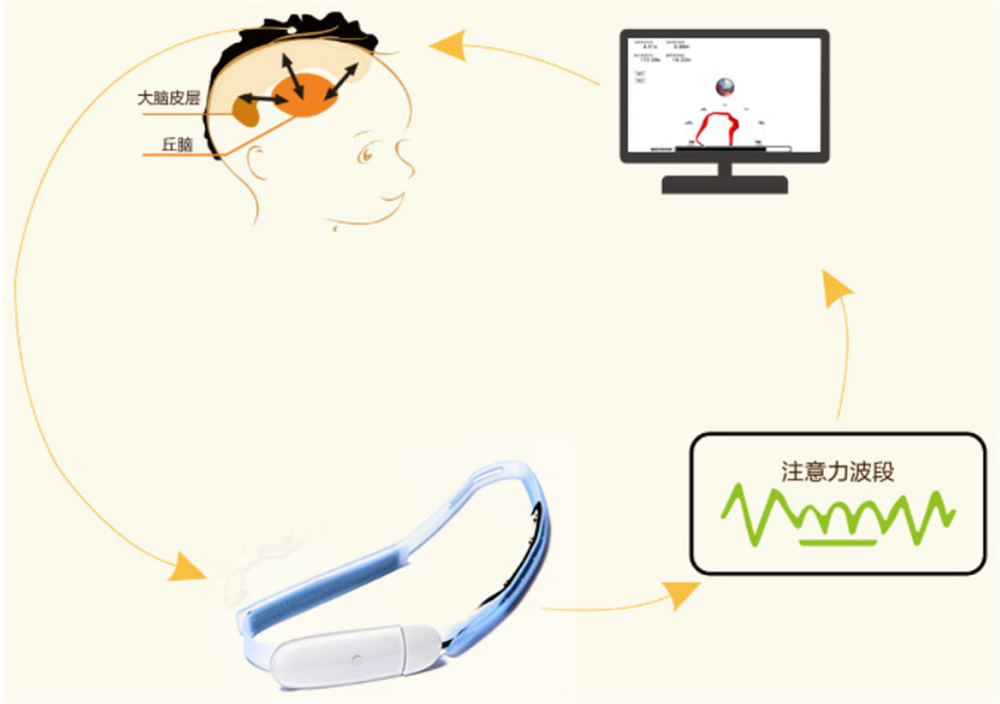 厦门十大注意力训练机构排行 厦门十大注意力训练机构排行