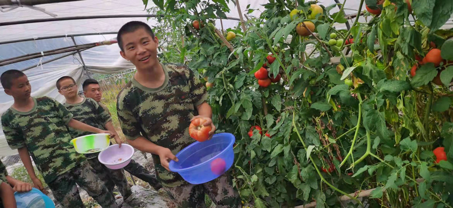 成都青少年戒网瘾管教学校排名前十 成都青少年戒网瘾管教学校排名前十
