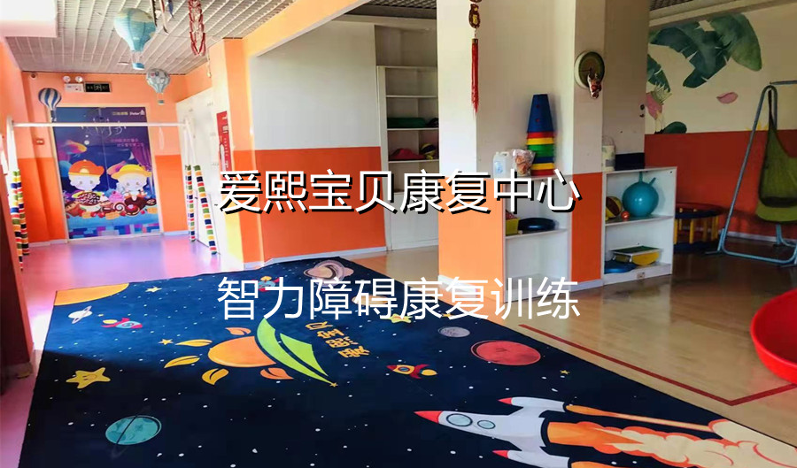 成都儿童智力障碍康复训练机构实力排名有哪些？