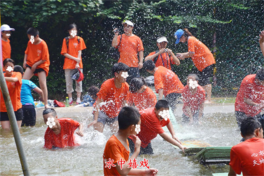 山东心种子 山东心种子