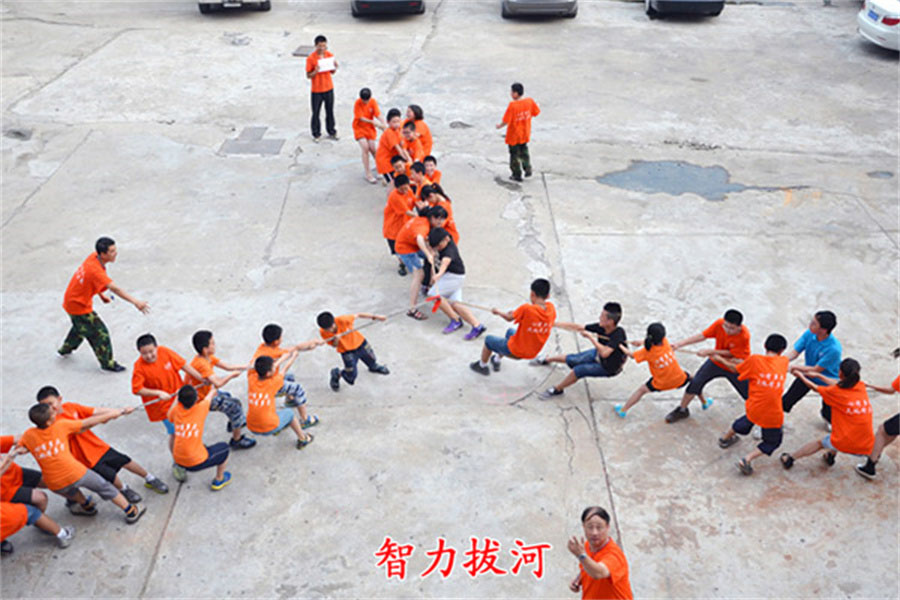 山东心种子 山东心种子