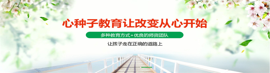山东心种子 山东心种子