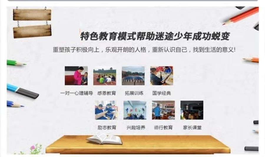 山东心种子 山东心种子