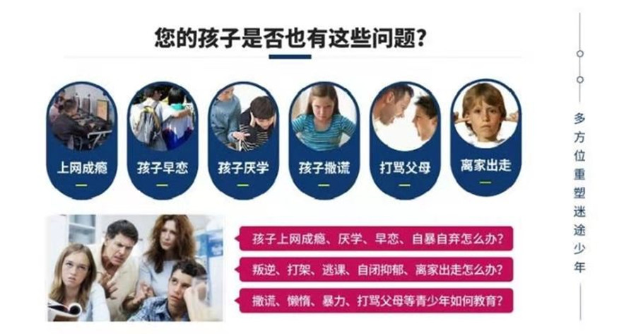 山东心种子 山东心种子