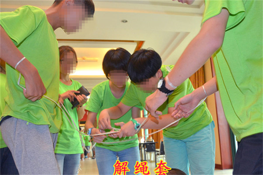 山东心种子 山东心种子