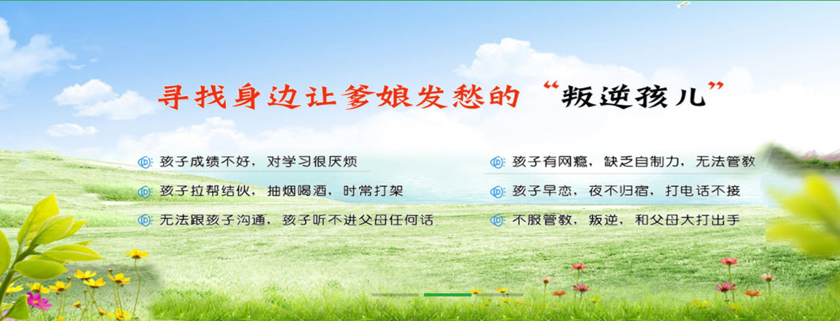 山东心种子 山东心种子