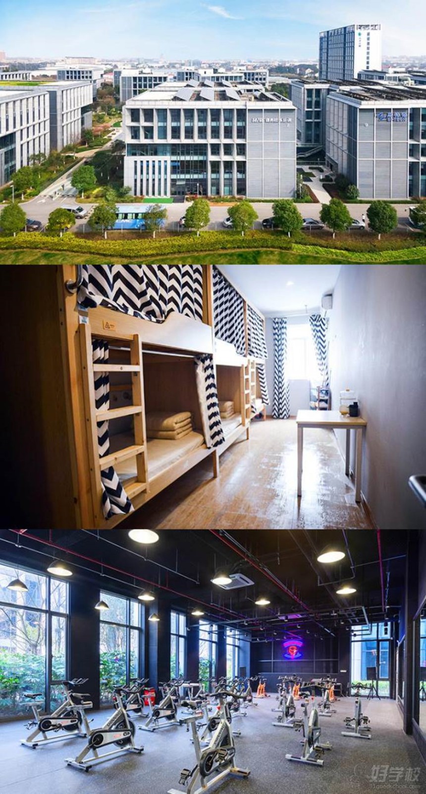 G3高级私人教练认证培训课程