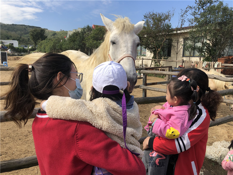 青岛口碑好的融合幼儿园排名前十
