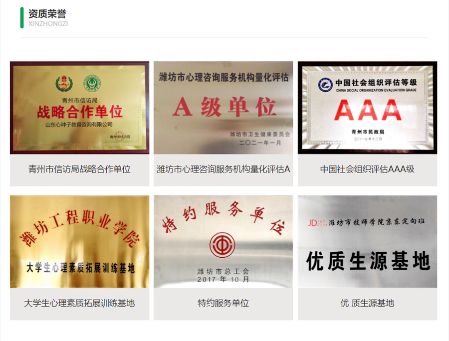 山东心种子